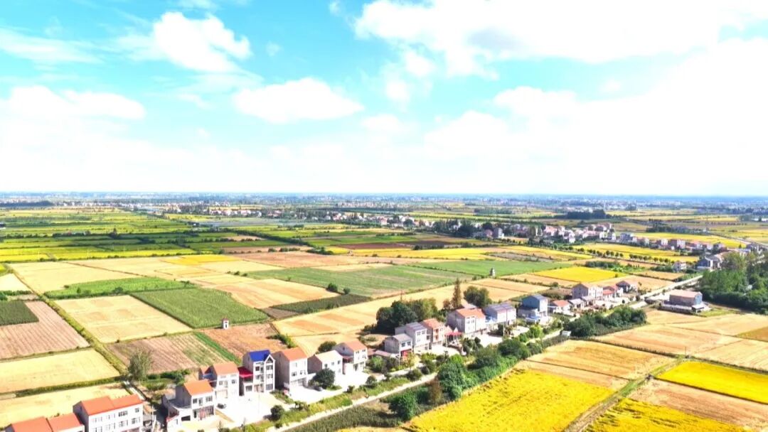 普济镇复兴场村:小积分撬动大治理
