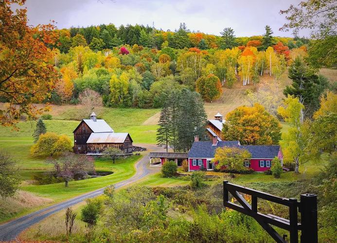 诗歌是以凝练语言